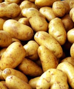 Pomme de terre l&rsquo;impératrice