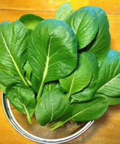 Komatsuna Vieux Tokyo