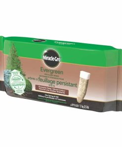 ENGRAIS EN BATON MIRACLE GRO 12-6-12