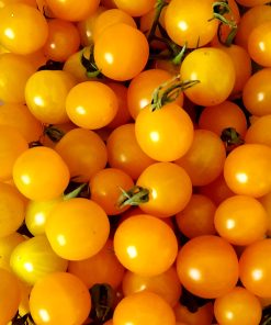 Tomate La Ruée vers l&rsquo;or