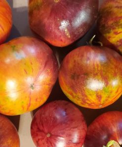 Tomate La Reine des Ténèbres