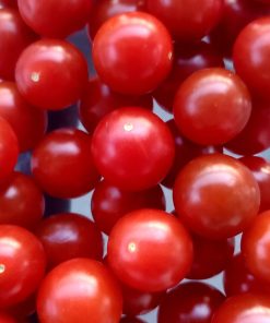 Tomate groseille CandyLand