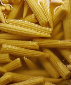 Bébé Maïs Nordique