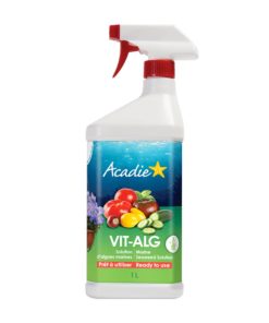 VIT-ALG (ALGUE MARINE) PAE 1 L.