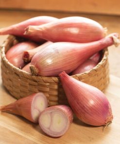 Échalote Française Crème Brûlée