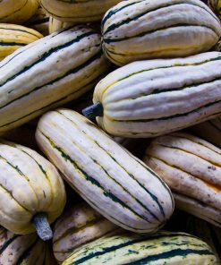 Courge Delicata