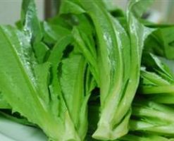 Micro Salade Chinoise Sword Choy