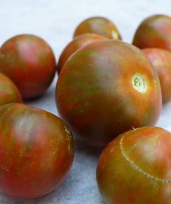 Micro Tomate Dark Stripe