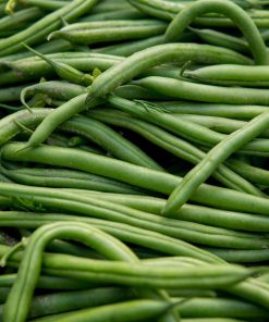Haricot vert Blue Lake