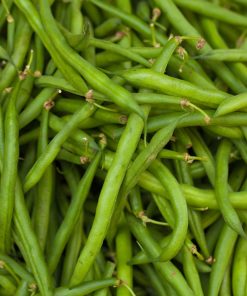 Haricot à Gousse Verte