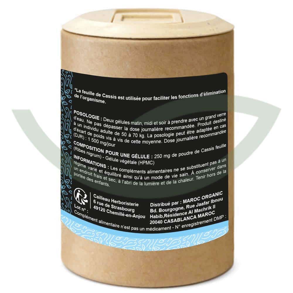 Cassis feuille – 100 gélules – 250mg – Cailleau – Image 2