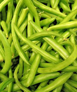 Haricot vert Concurrents
