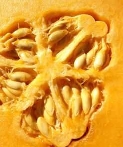 Melon Doré de Jenny