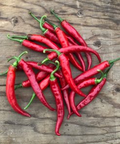 Piment Tabasco Original