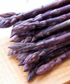 Asperge Sweet Purple