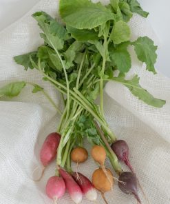 Radis Mélange Surprise