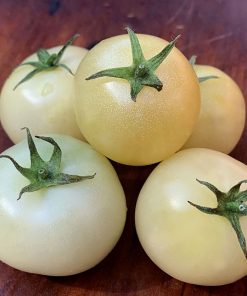 Tomate Pearles Blanches