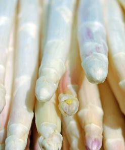 Asperge Blanche Neige