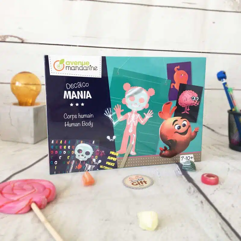 Boîte créative Décalcomanie – Corps Humain – Image 2