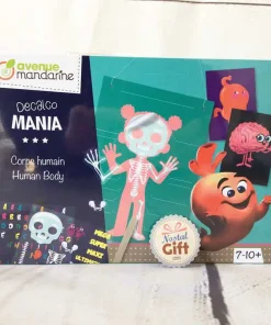 Boîte créative Décalcomanie – Corps Humain