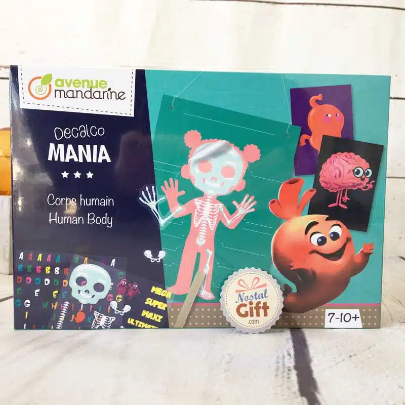 Boîte créative Décalcomanie – Corps Humain