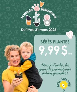 BÉBÉ PLANTE – NÉONATOLOGIE