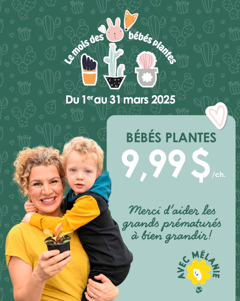 BÉBÉ PLANTE – NÉONATOLOGIE