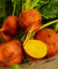 Betterave Golden Detroit