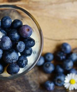 Bleuet de la Gaspésie