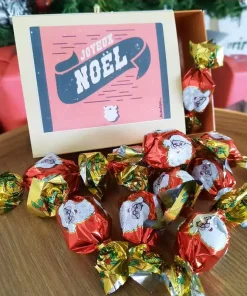 Boîte de chocolats de noël – Papillotes au chocolat au lait (praliné noisette) x 10