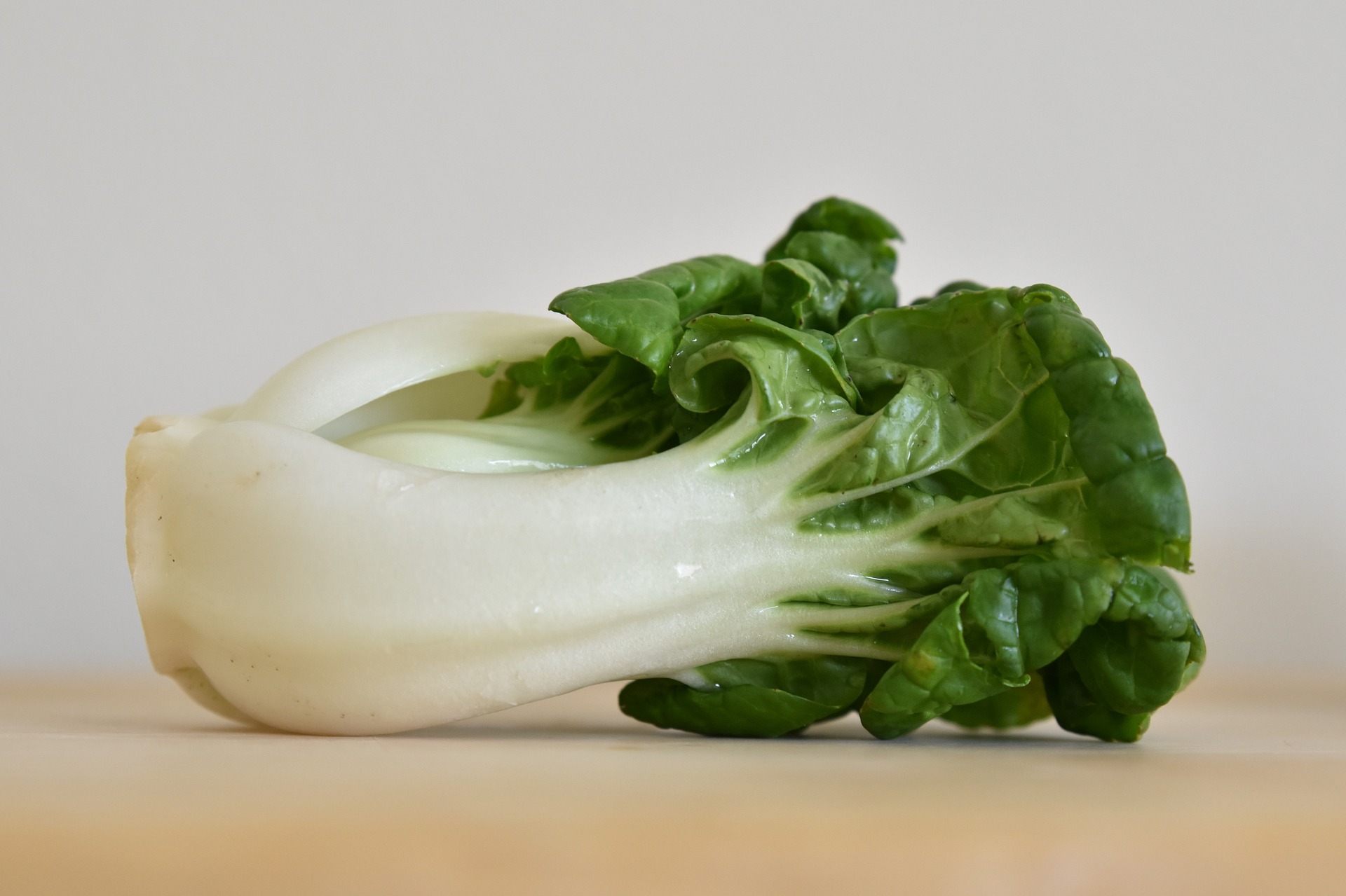 Bok Choy « Baby Milk »