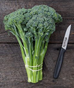Brocoli Waltham 29