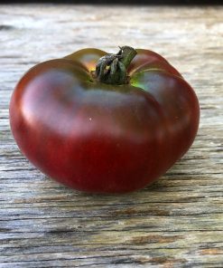 Tomate Carbone
