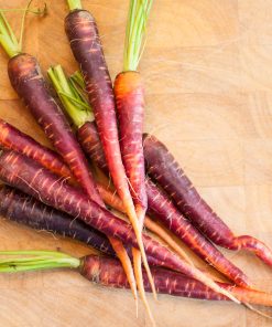 Carotte Longue Rouge Sang