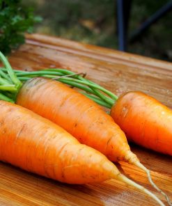 Carrote  Chantenay à noyau rouge