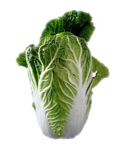 Choux Chinois Mini Napa