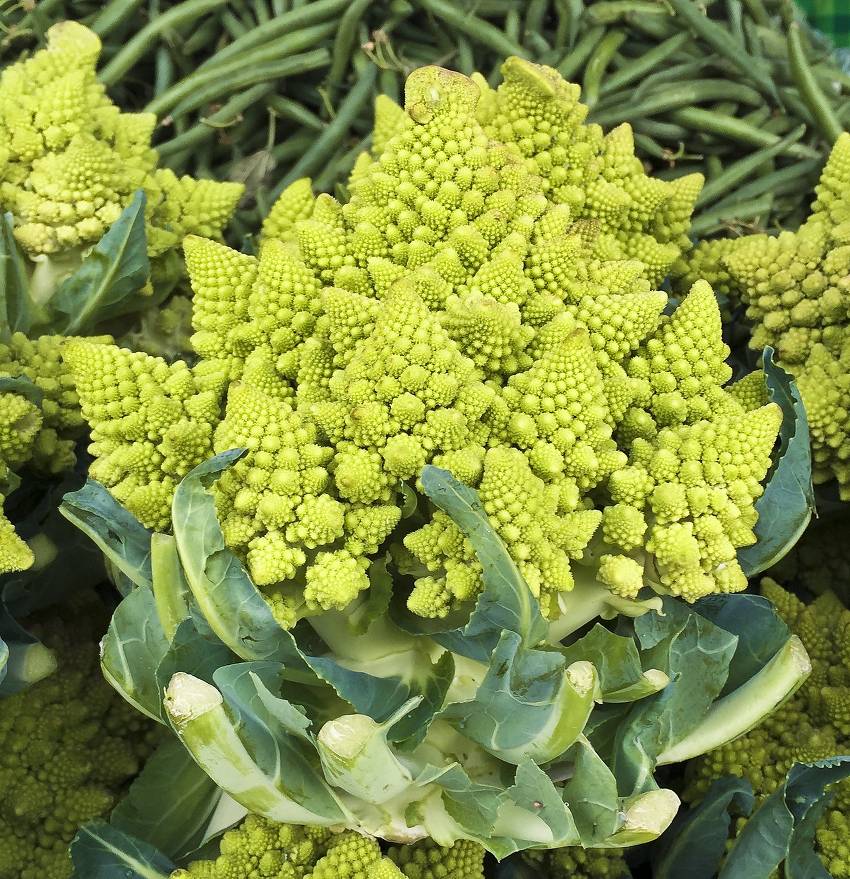 Chou-Fleur Romanesco