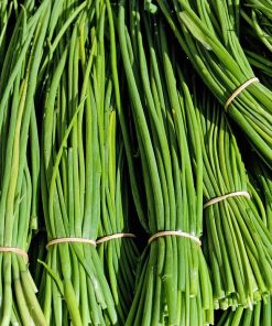Ciboulette à Feuilles Fines