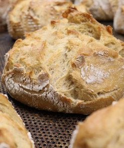 Levain de Seigle Déshydraté