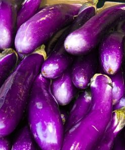 Aubergine Ping Tung Long