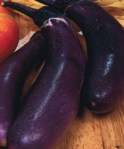 Aubergine Violetta lunga di Napoli