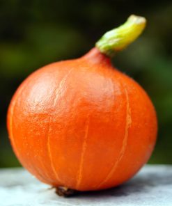 Courge Buttercup Pépites d&rsquo;or