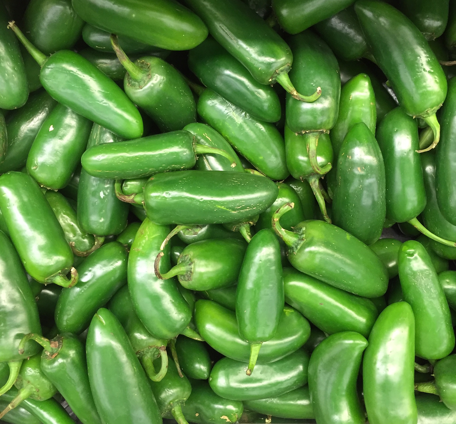 Piment Jalapeno