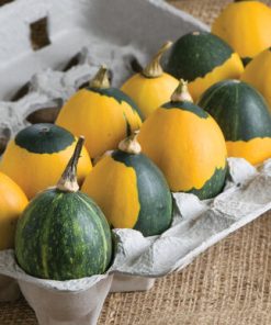 Courge Mix Œuf de Gobelin
