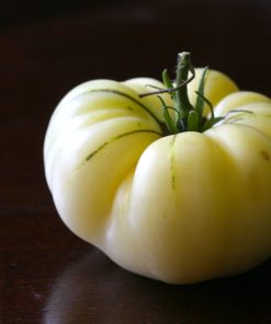 Tomate Ancestrale Le Grand Blanc