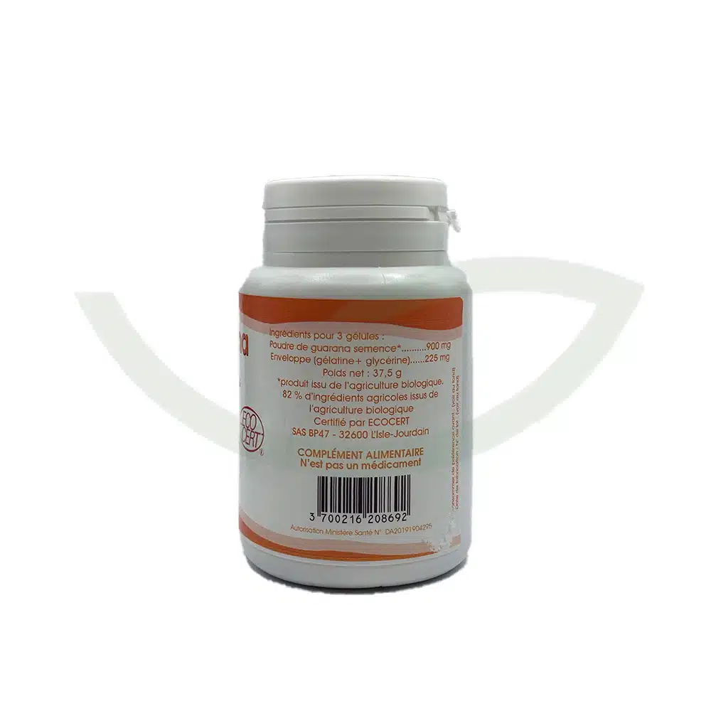 Guarana – 100 gélules – 300mg – GPH – Image 2