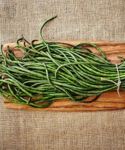 Haricot Python Chinois