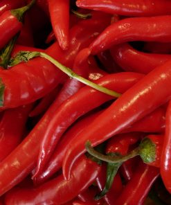 Piment Chinois La dame Brulante