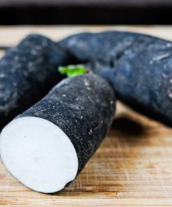 Radis Cylindre d&rsquo;hiver