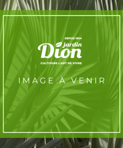 COMPOST BIOSOL 25L (110)